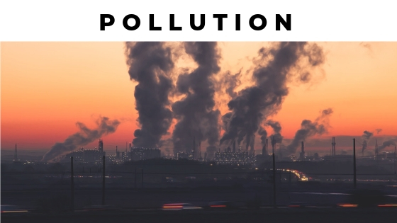 environmental problem and society