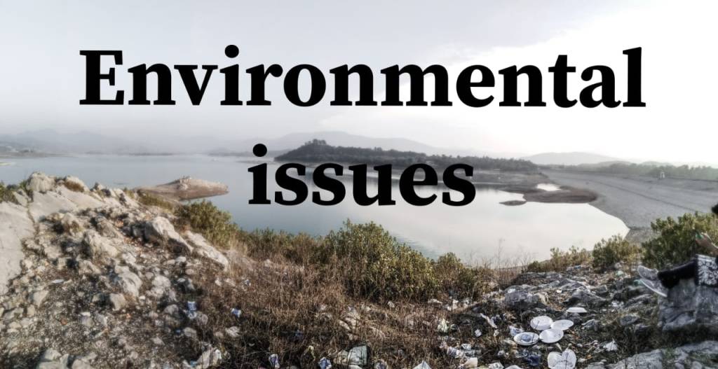 human society and environment, environment and society